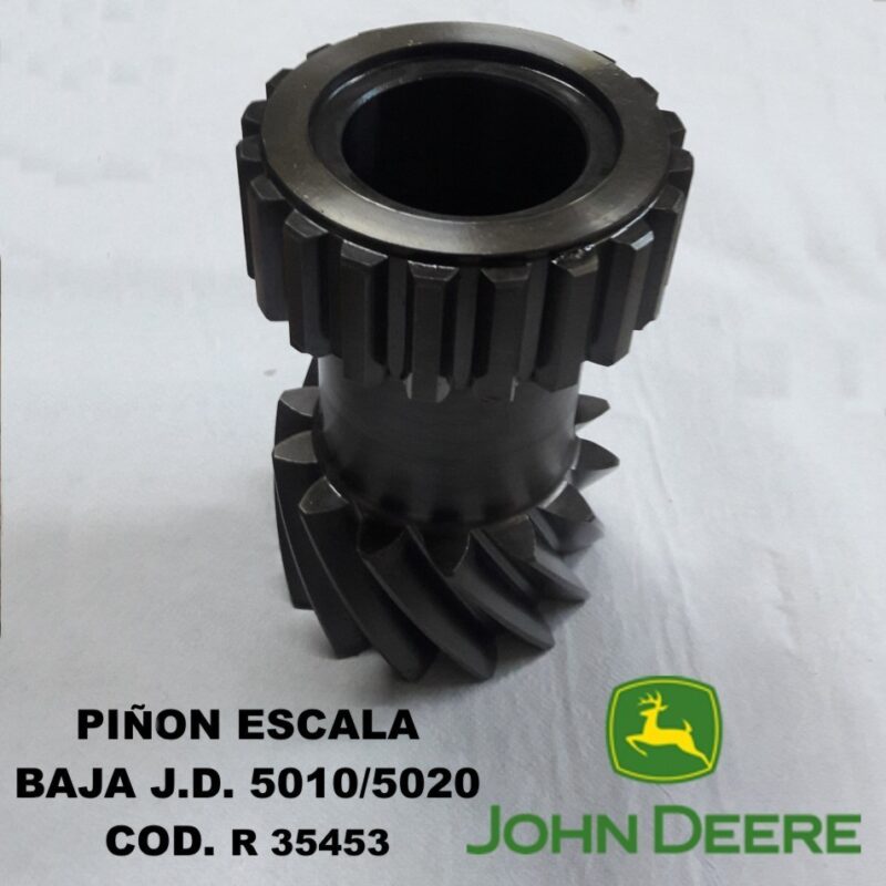Piñon Escala Baja